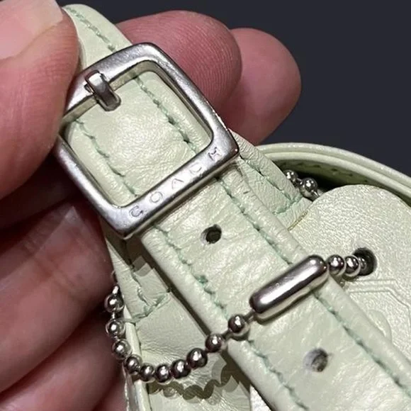 Coach Crossbody Bag - Picture 5 of 15